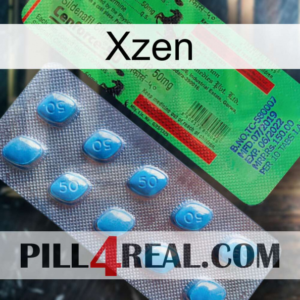 Xzen new03.jpg